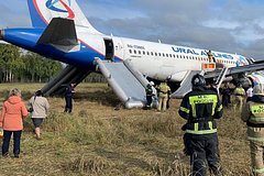 Подробнее о статье В «Уральских авиалиниях» оценили действия посадивших в поле самолет пилотов
